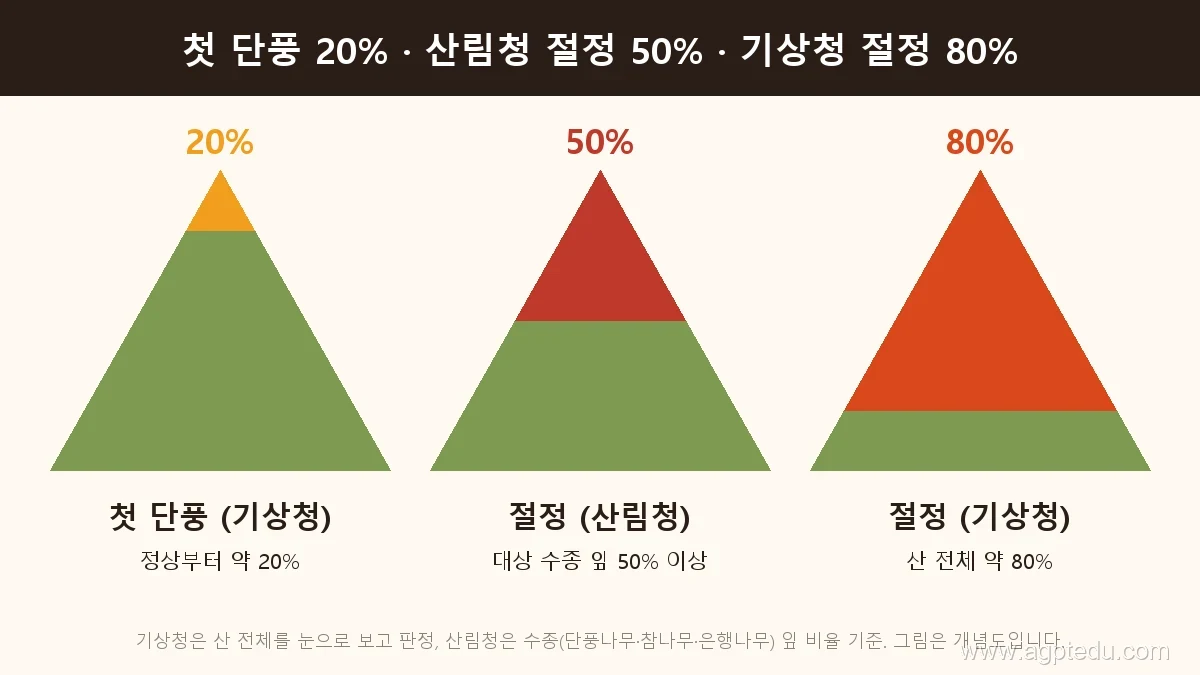 단풍 판정 기준 개념도, 기상청 첫 단풍은 정상부터 약 20%, 산림청 절정은 대상 수종 잎 50% 이상, 기상청 절정은 산 전체 약 80%