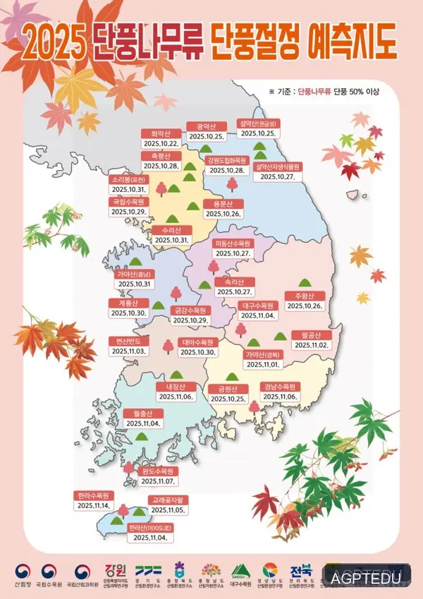 2025년 단풍명소 추천 – 내장산, 설악산, 주왕산 단풍 절정 시기 총정리