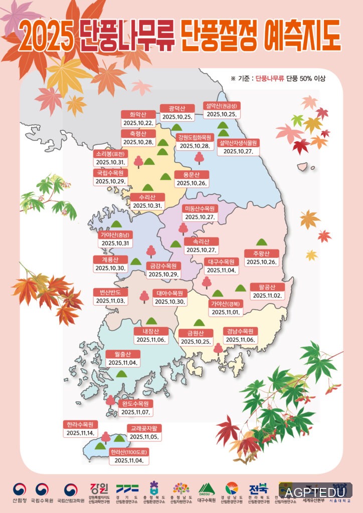 2025단풍예측지도_단풍나무류