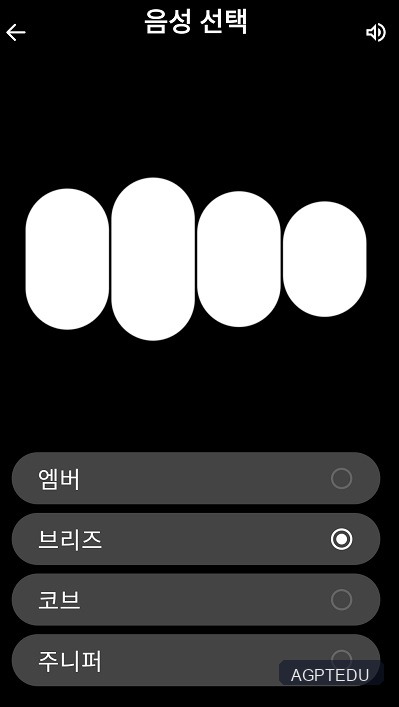 ChatGPT 음성대화 선택
