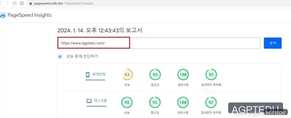 웹사이트의 성능과 SEO 개선하기 위한 도구, Google PageSpeed Insights