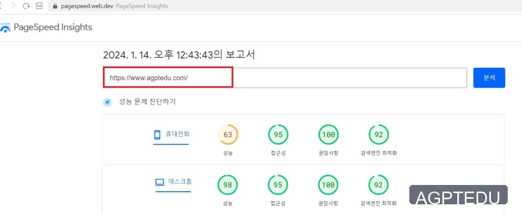 Google PageSpeed Insights 카페24 워드프레스 결과