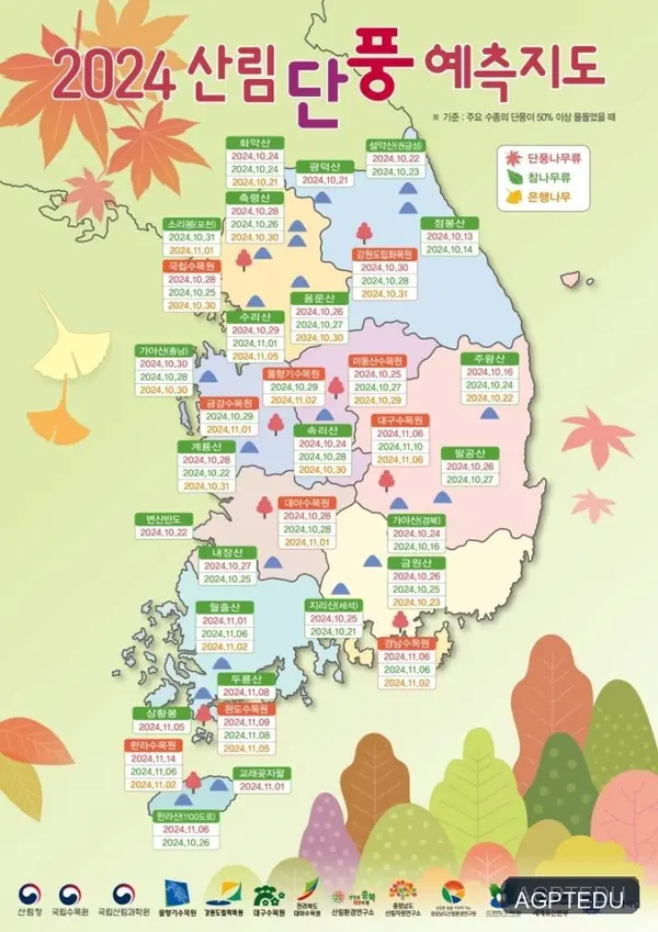 2024년 단풍 절정 시기 총정리,  내장산, 설악산, 주왕산 단풍 구경 좋은 날