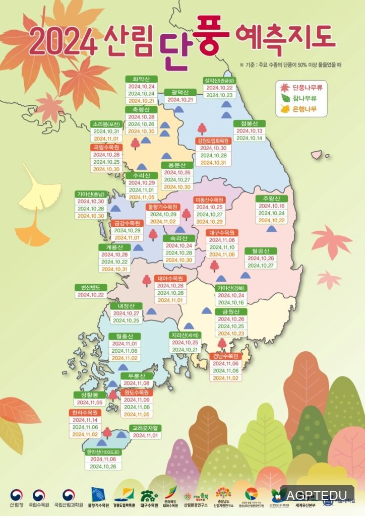 2024년 단풍 절정 시기 총정리,  내장산, 설악산, 주왕산 단풍 구경 좋은 날