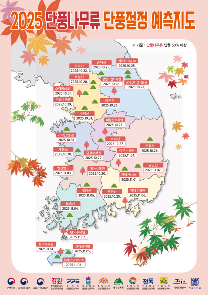 2025단풍예측지도_단풍나무류