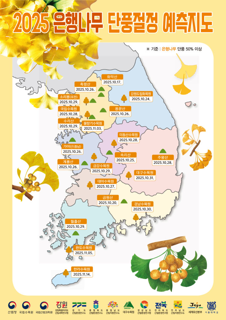 2025단풍예측지도_은행나무